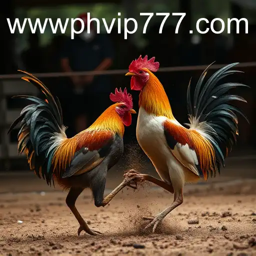 The Thrilling World of Sabong Games and the Rise of PHVIP777